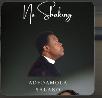 No Shaking album cover